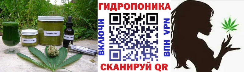 сколько стоит  Фрязино  Canna-Cookies конопля 
