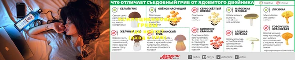 мефедрон мука Нефтегорск