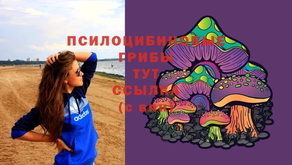 apvp Нея