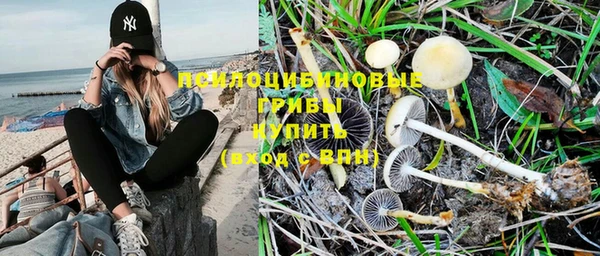 альфа пвп Нефтекумск