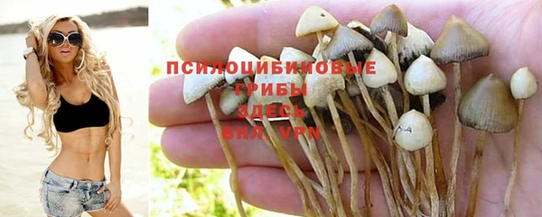 apvp Нея