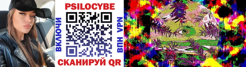 хочу   Фрязино  Галлюциногенные грибы прущие грибы 